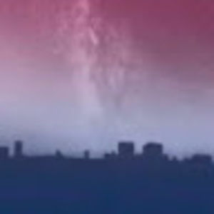 Meet your Posher, Lily